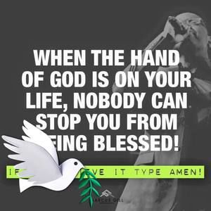 Meet your Posher, Monica